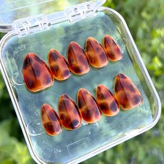 Tortoise Shell