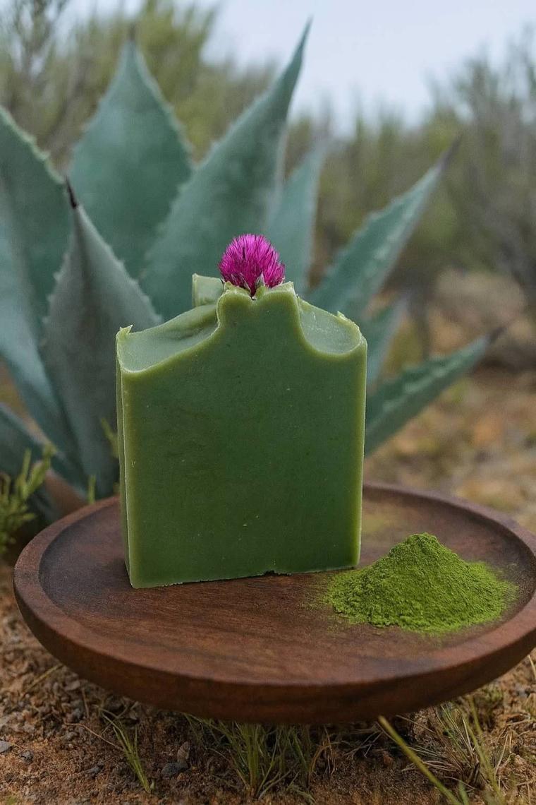Agave Bloom