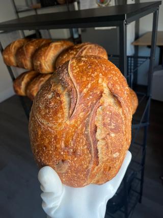 Sourdough Bread (Boule Style)