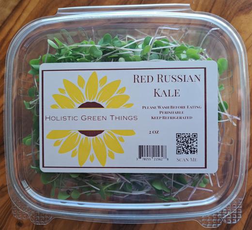 Red Russian Kale Microgreens