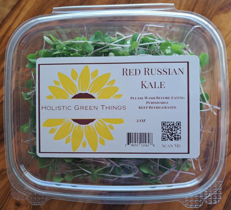Red Russian Kale Microgreens