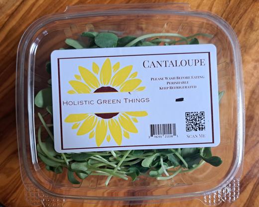 Cantaloup Microgreens