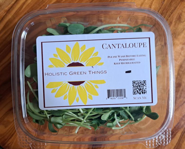 Cantaloup Microgreens
