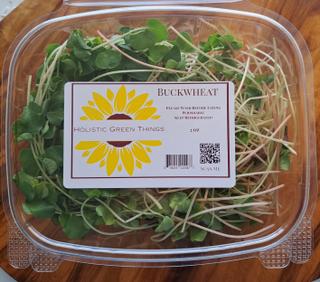 Buckwheat Microgreens