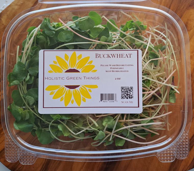 Buckwheat Microgreens