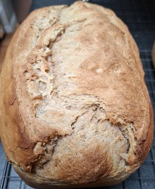 Sourdough Honey Whole Wheat