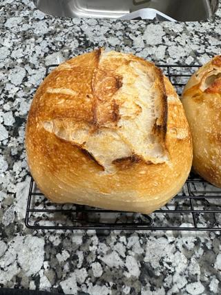 OG - Plain sourdough round loaf 