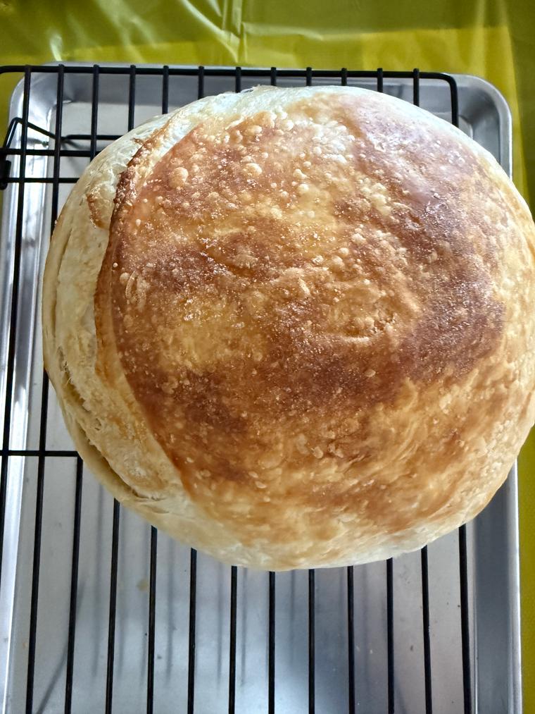 Flaky Fellow
