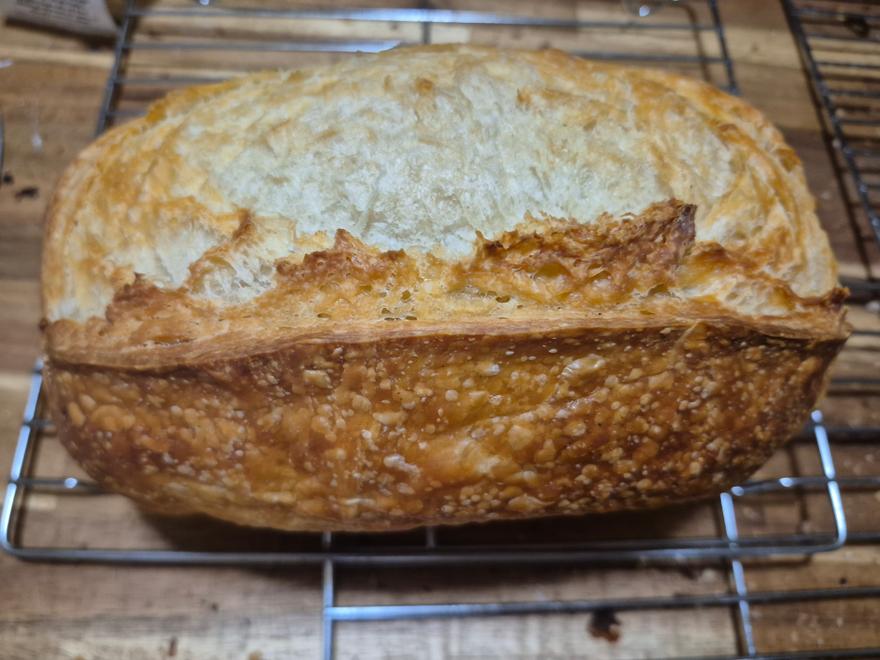 Deluxe Plain Sourdough 