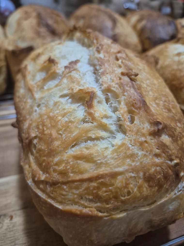 Classic Plain Sourdough