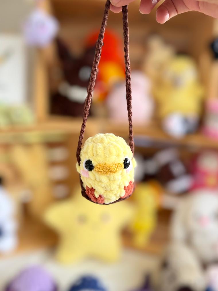 Car hanging chicken 
