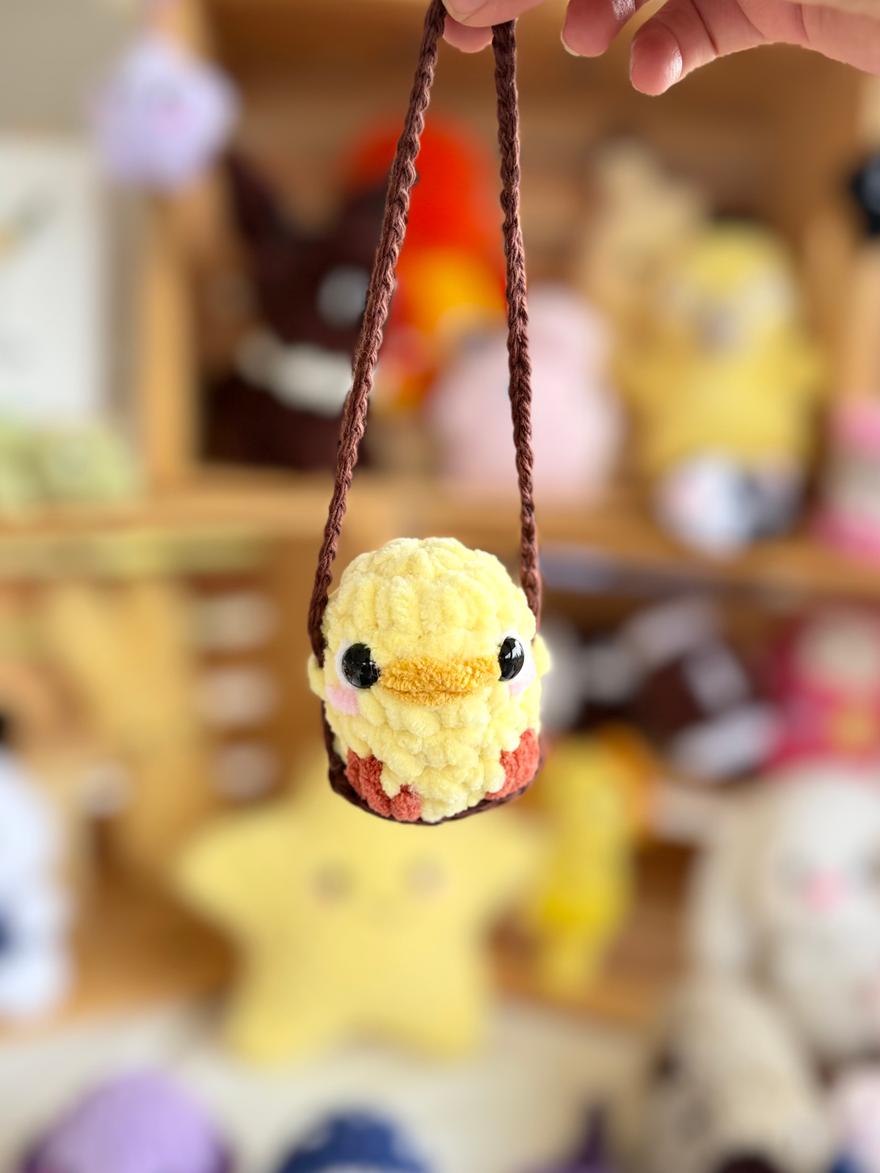 Car hanging chicken 